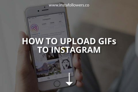 How to Upload GIFs to Instagram (%year%)