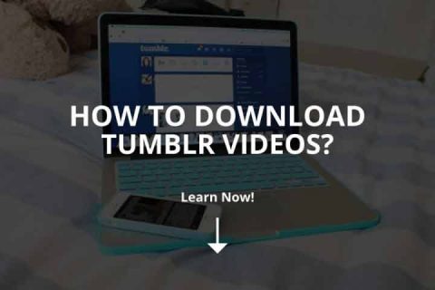 How to Download Tumblr Videos