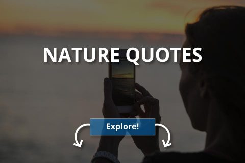 Best Nature Quotes - Refreshing & Beautiful Sayings to Inspire You