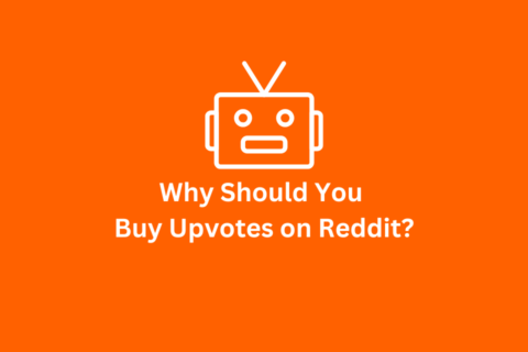 Why Should You Buy Upvotes on Reddit?