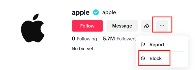 How to Block Someone from the TikTok Website