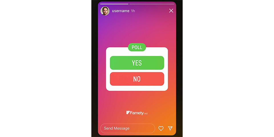 instagram story poll votes