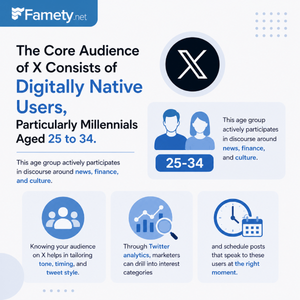 twitter audience