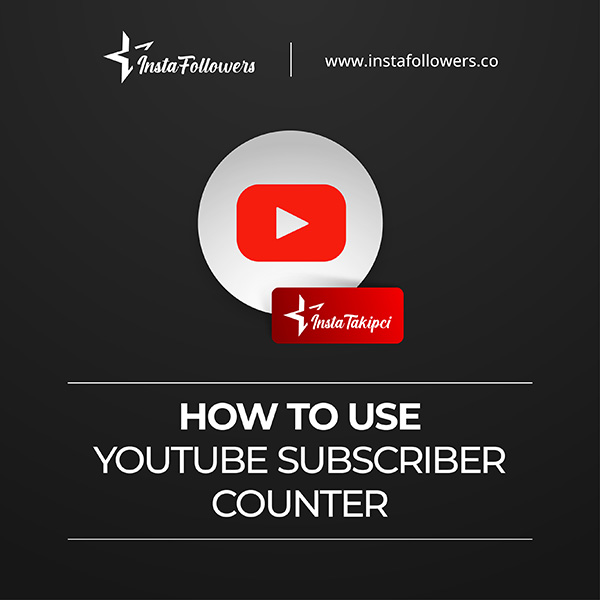 How to Use Famety’s YouTube Subscriber Counter?