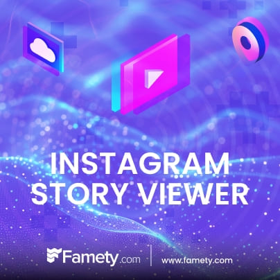 Instagram Story Viewer